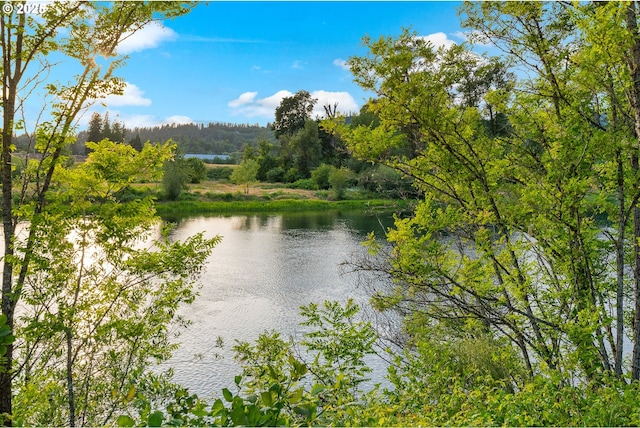 4311 NW 419th St, Woodland, WA 98674 - water view with a forest