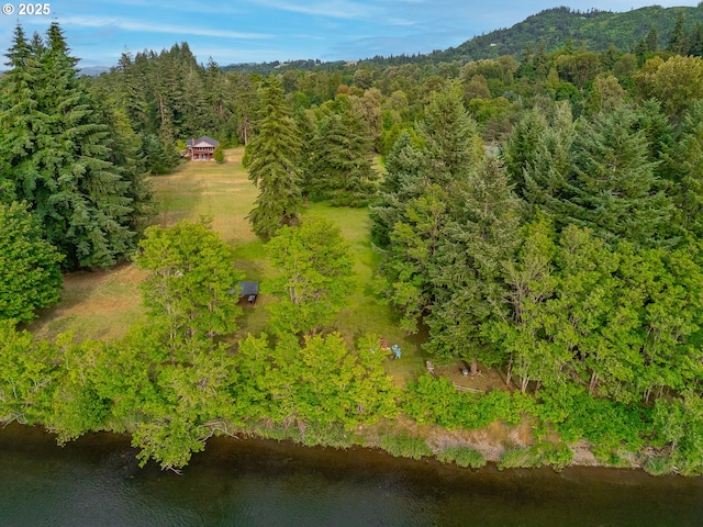 4311 NW 419th St, Woodland, WA 98674 - bird's eye view of a nearby body of water and a forest