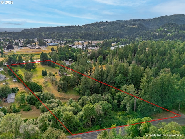 4311 NW 419th St, Woodland, WA 98674 - aerial view of property and surrounding area with property boundaries highlighted and a mountainous background