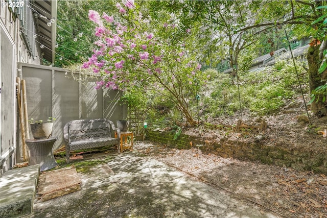 view of yard with a patio