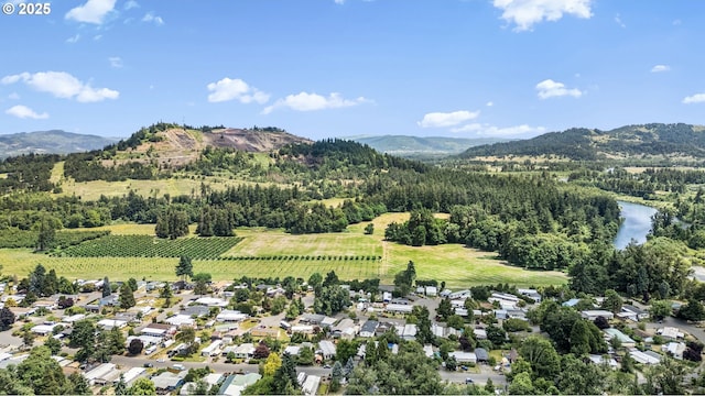 5580 Franklin Blvd, Eugene, OR 97403 - mountain view