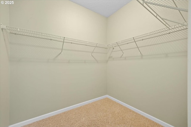 spacious closet featuring carpet floors