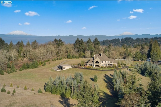 birds eye view of property with a mountain view