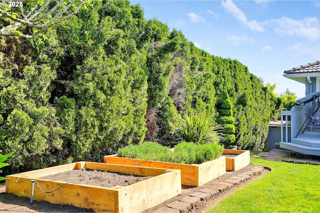 view of yard featuring a vegetable garden