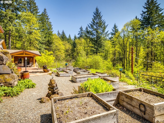 view of yard with a garden and a wooded view