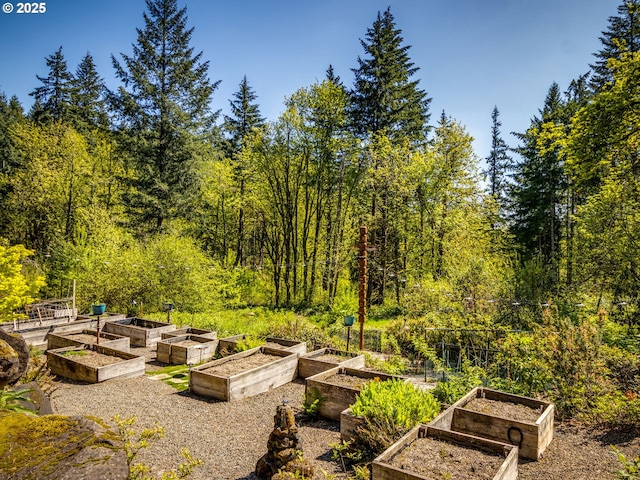surrounding community with a vegetable garden and a wooded view