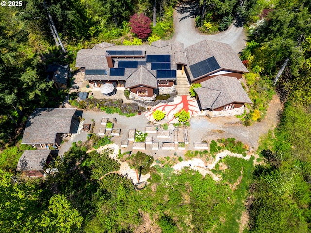 bird's eye view