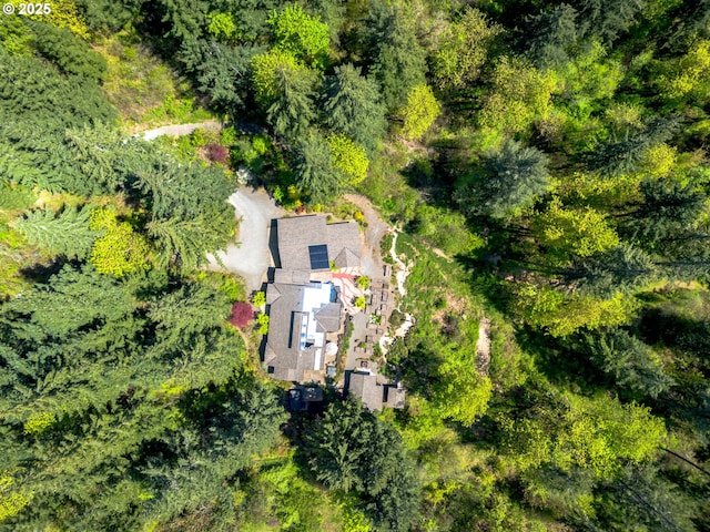bird's eye view