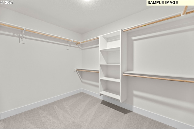 4206 NE 188th St Lot 328, Vancouver, WA 98686 - spacious closet with carpet floors