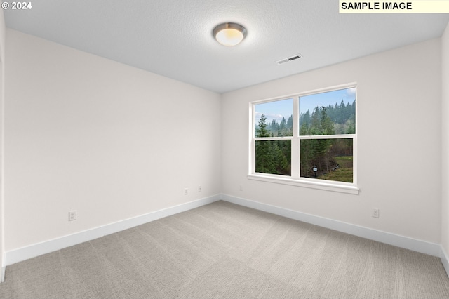 4206 NE 188th St Lot 328, Vancouver, WA 98686 - empty room featuring carpet floors, baseboards, and visible vents