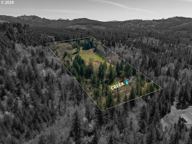 33827 NE Lessard Rd, Camas, WA 98607
