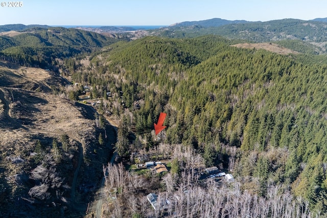 bird's eye view with a mountain view