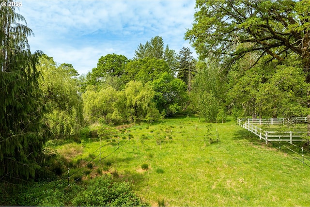 view of tree filled area