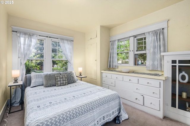 bedroom featuring carpet