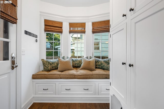 4108 NE 30th Ave Unit A & B, Portland, OR 97211 - mudroom featuring dark wood-style floors