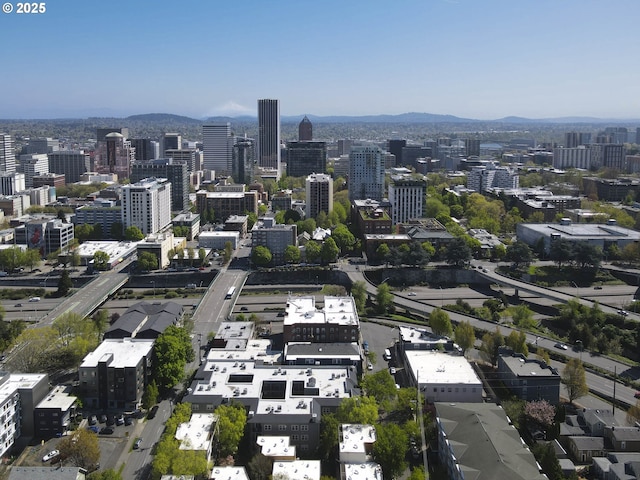 city view with a mountain view