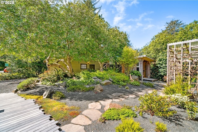 view of yard