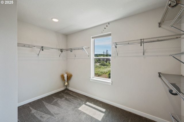 17085 SE Troge Rd, Happy Valley, OR 97086 - spacious closet with carpet floors