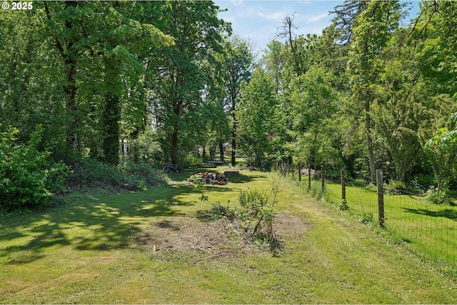 view of green lawn