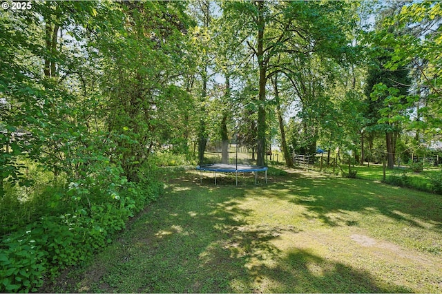 view of grassy yard featuring a trampoline