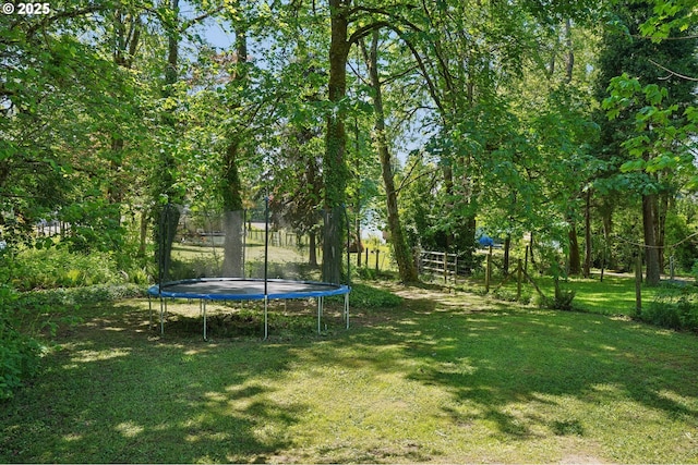 view of yard with a trampoline
