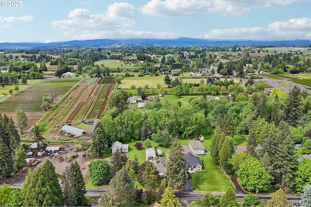 bird's eye view