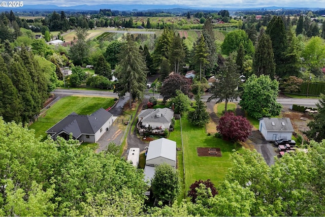 bird's eye view