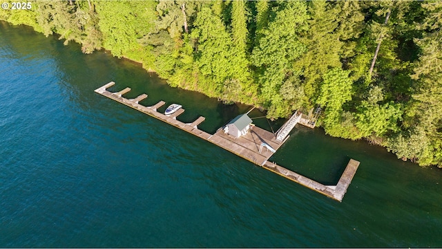 2917 Westview Cir, Lake Oswego, OR 97034 - aerial view of a nearby body of water and a forest