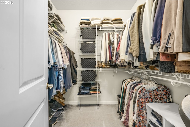 walk in closet featuring carpet