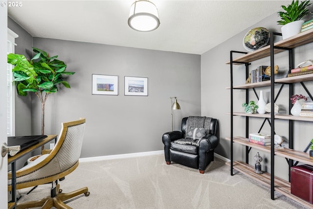 home office featuring carpet floors and baseboards