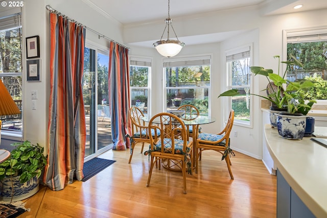 dining room featuring crown molding, a healthy amount of sunlight, and light wood-type flooring