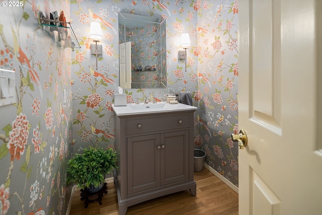 bathroom with vanity and wood-type flooring