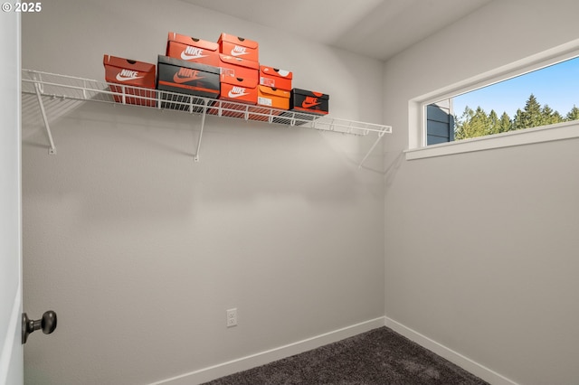 walk in closet featuring carpet