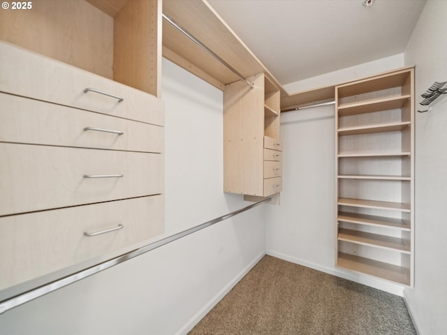 8710 SW 147th Ter Unit 104, Beaverton, OR 97007 - walk in closet with carpet flooring
