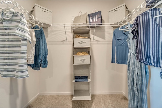 2969 U St, Springfield, OR 97477 - spacious closet featuring carpet floors