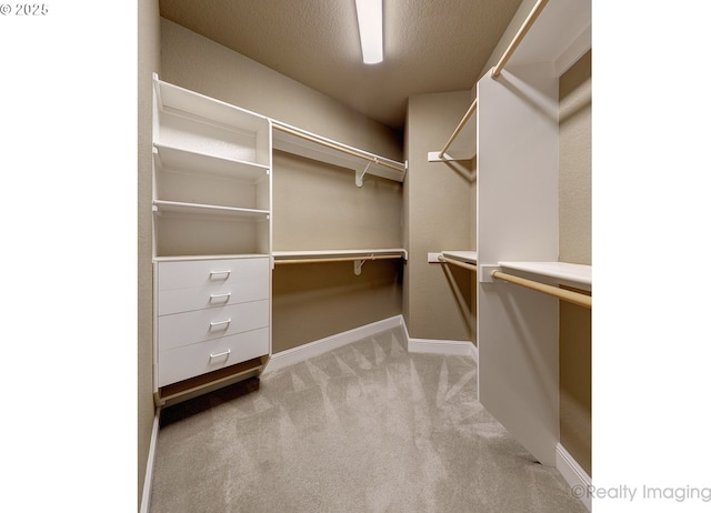 spacious closet with light colored carpet