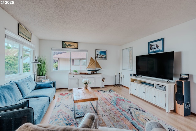 12520 SW Prince Albert St, King City, OR 97224 - living area featuring a textured ceiling and light wood-style flooring