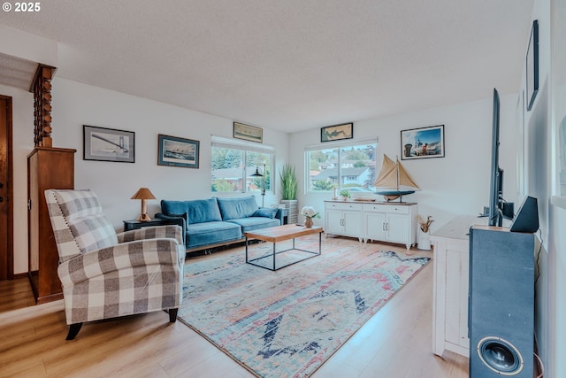 12520 SW Prince Albert St, King City, OR 97224 - living area with light wood-style flooring and a textured ceiling
