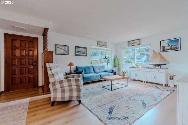 12520 SW Prince Albert St, King City, OR 97224 - living room with light wood-style flooring
