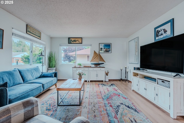 12520 SW Prince Albert St, King City, OR 97224 - living room with a textured ceiling and light wood-style flooring