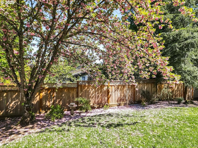 view of yard with fence