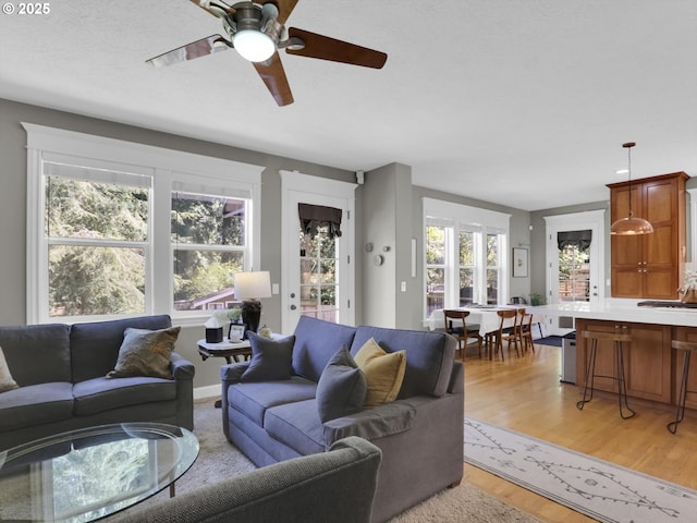 living area with ceiling fan and light wood-style flooring