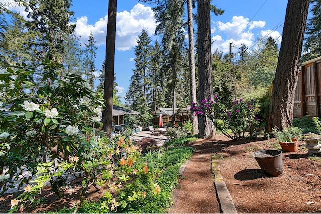 536 Kingswood Ave, Eugene, OR 97405 - view of yard featuring fence and a patio