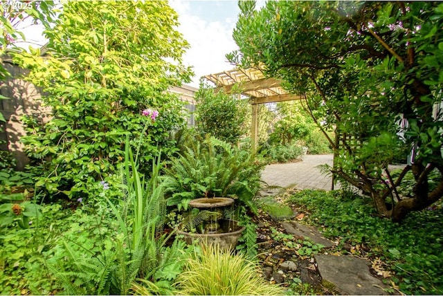 2440 SW Burbank Ave, Portland, OR 97225 - view of yard with a pergola
