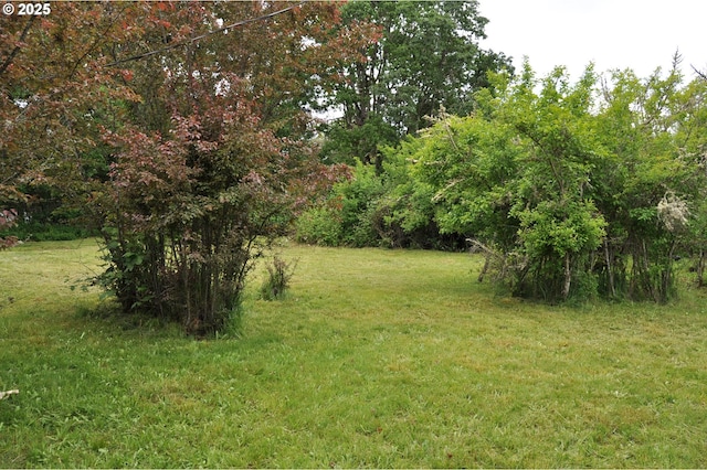 87624 Territorial Rd, Veneta, OR 97487 - view of green lawn