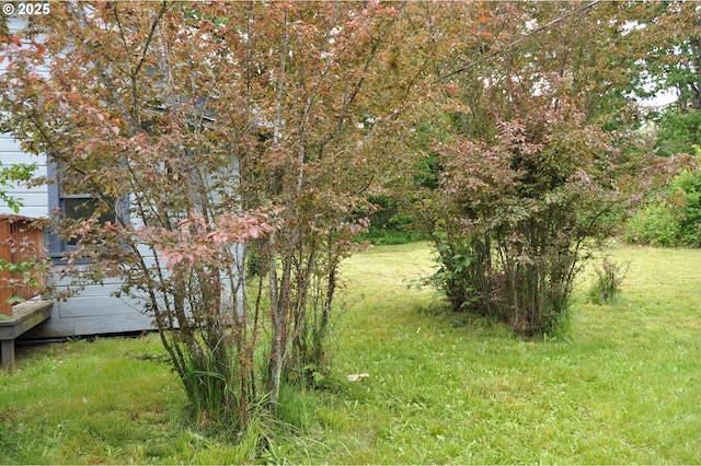 87624 Territorial Rd, Veneta, OR 97487 - view of yard