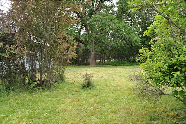 87624 Territorial Rd, Veneta, OR 97487 - view of grassy yard