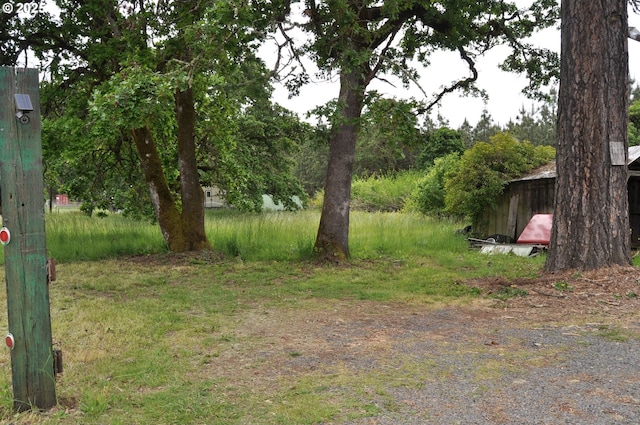 87624 Territorial Rd, Veneta, OR 97487 - view of yard