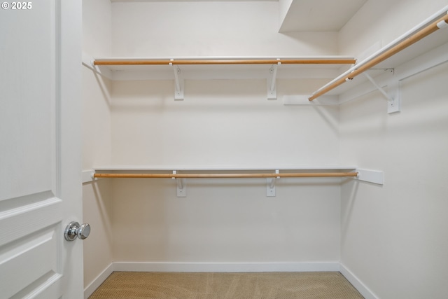 8329 SW 24th Ave, Portland, OR 97219 - spacious closet with light colored carpet
