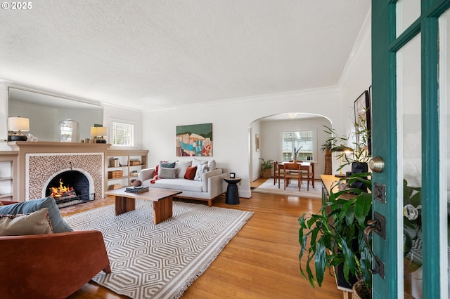 living area featuring ornamental molding, arched walkways, a wealth of natural light, and light wood-type flooring